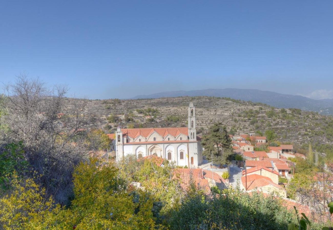 Mountain & Village Views 