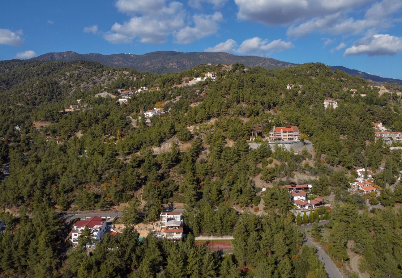 Forest & Mountain Views 