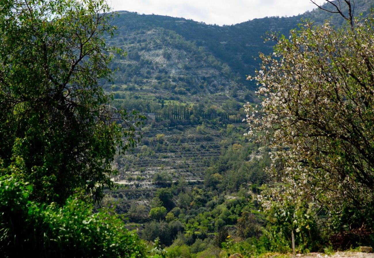 Forest & Mountain Views 