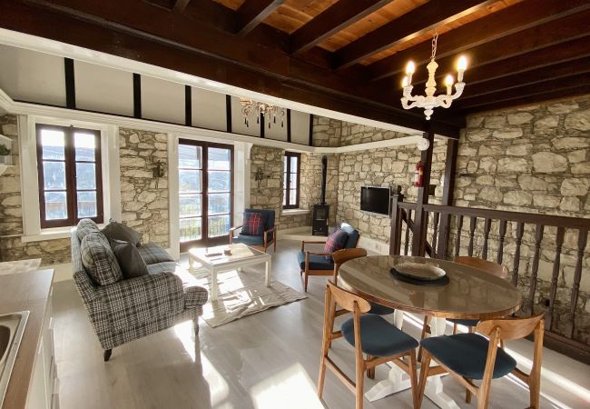 Country house in Dhoros - Leonys House Country house in Dhoros - Leonys House