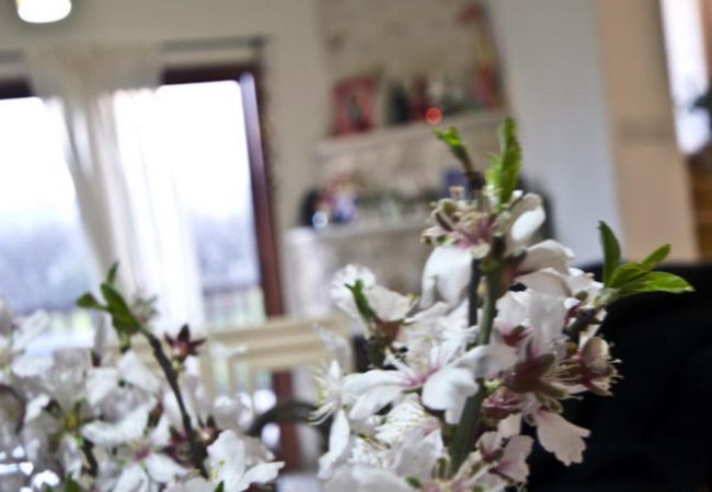 Country house in Laneia - Lania Royal Oak House Country house in Laneia - Lania Royal Oak House