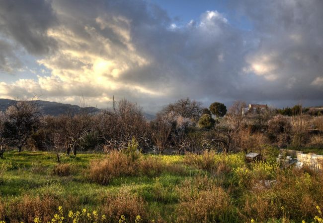 Country house in Laneia - Lania Royal Oak House Country house in Laneia - Lania Royal Oak House