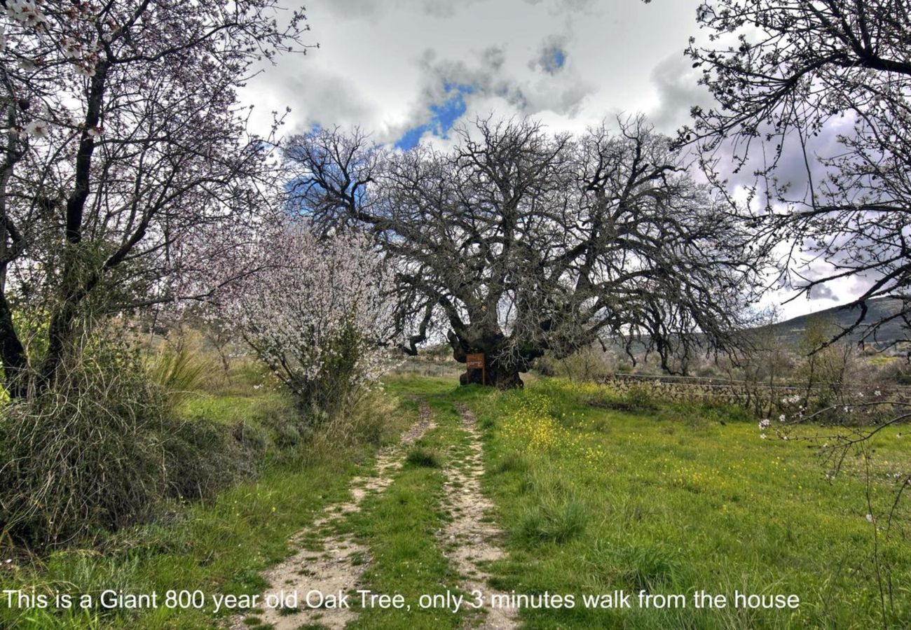 Country house in Laneia - Lania Royal Oak House