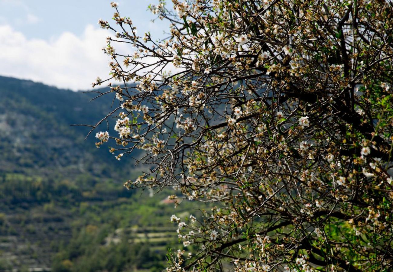 Country house in Dhoros - Old Olive Mill House