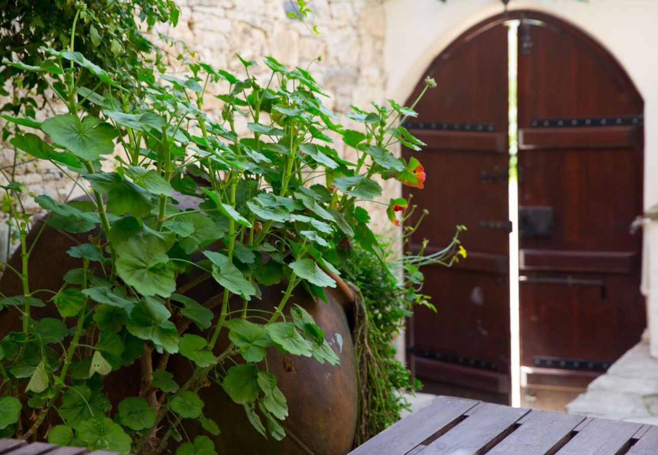 Country house in Dhoros - Old Olive Mill House