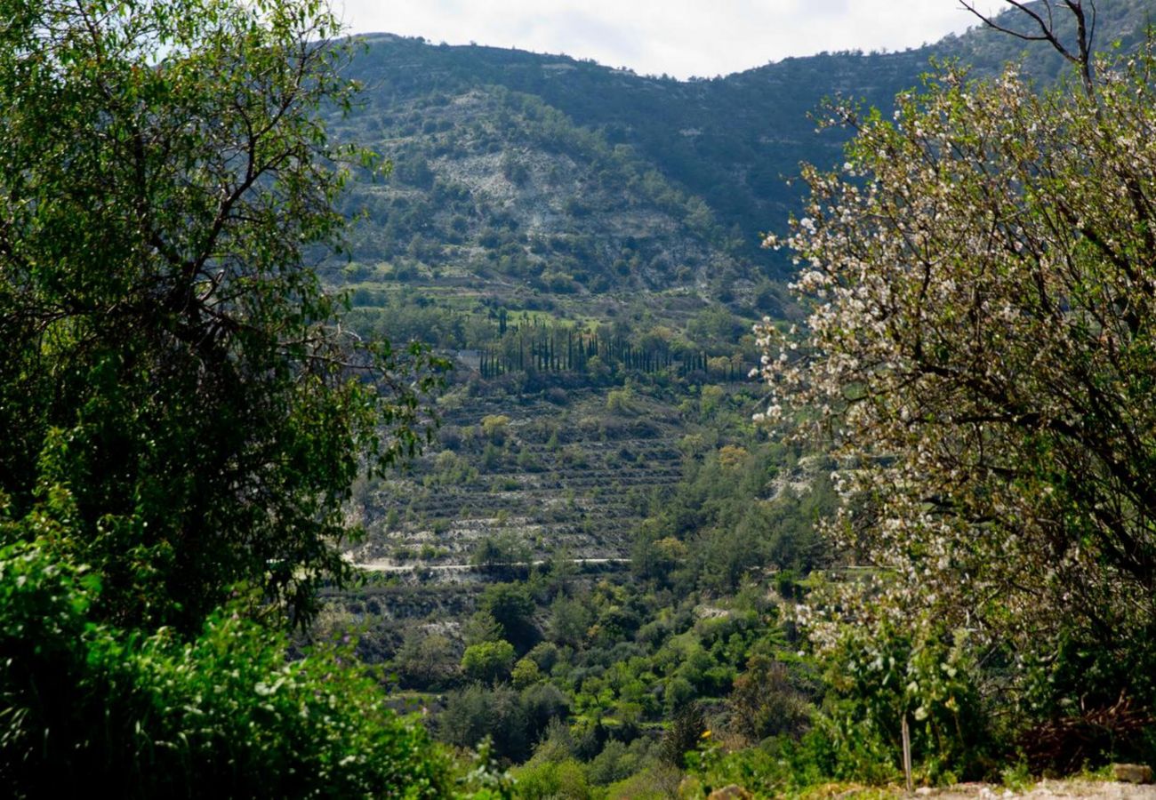 Country house in Dhoros - Old Olive Mill House