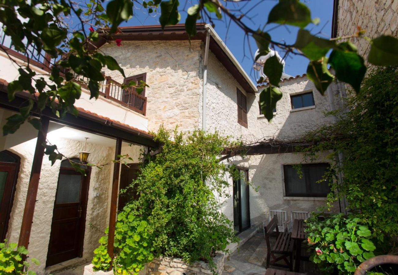 Country house in Dhoros - Old Olive Mill House