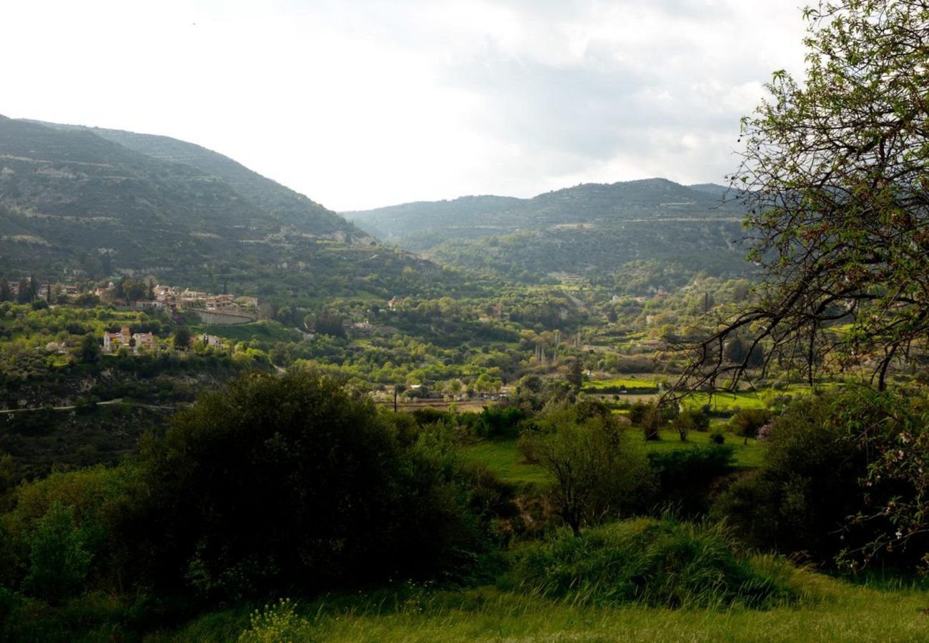 Country house in Dhoros - Old Olive Mill House