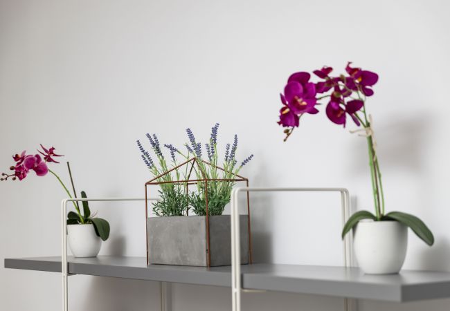 Apartment in Germasogia - Bay View Gardens Apt. 3 Apartment in Germasogia - Bay View Gardens Apt. 3