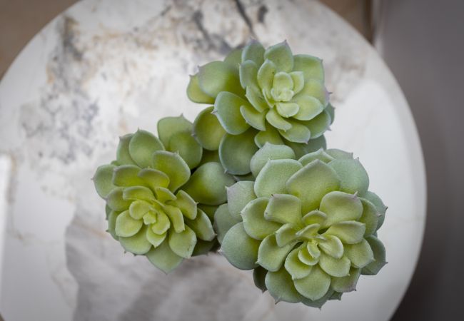 Apartment in Limassol - Palm Beach Apartment Apartment in Limassol - Palm Beach Apartment