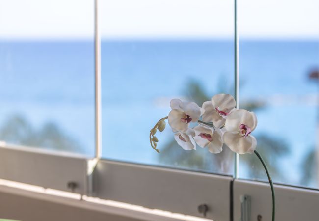 Apartment in Germasogia - Hallmark Beach Apartment Apartment in Germasogia - Hallmark Beach Apartment